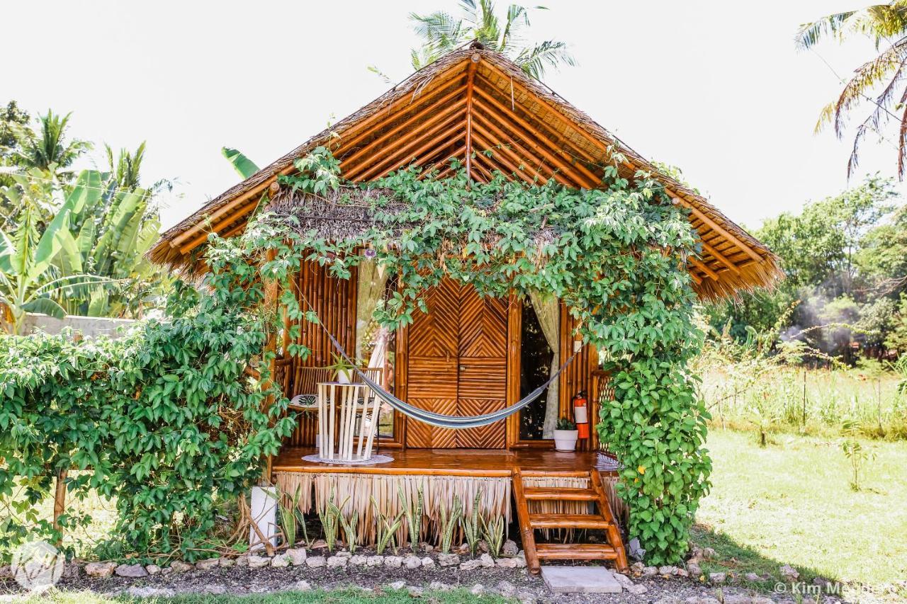 Tongo Hill Cottages モアルボアル エクステリア 写真