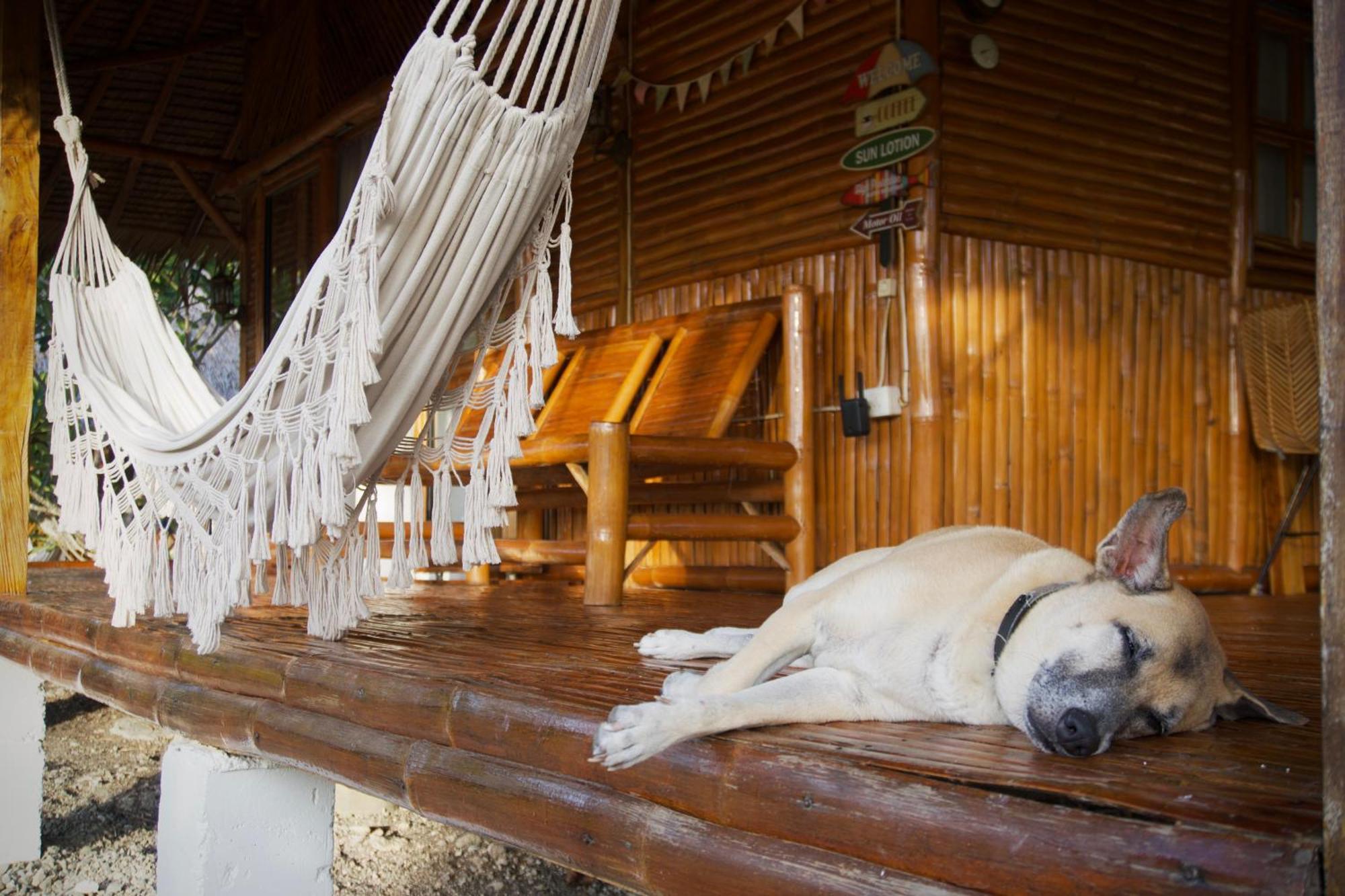 Tongo Hill Cottages モアルボアル エクステリア 写真